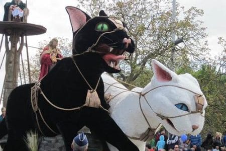 Kattenstoet, el festival de gatos de Ypres Kattenstoet, el festival de gatos de Ypres