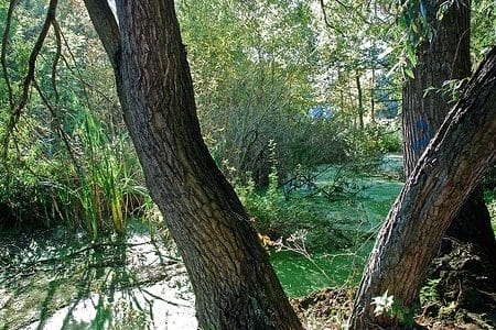 La reserva natural del Moeraske en Bruselas La reserva natural del Moeraske en Bruselas