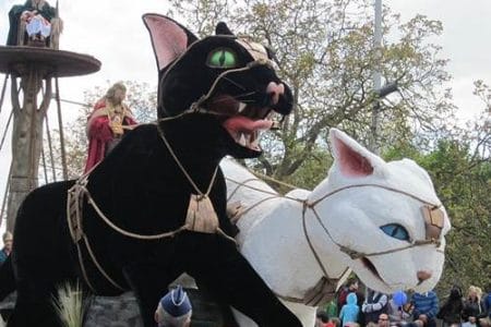 Kattenstoet, el festival de gatos de Ypres
