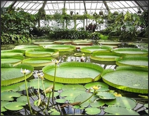 El Jardín Botánico Nacional de Bélgica El Jardín Botánico Nacional de Bélgica