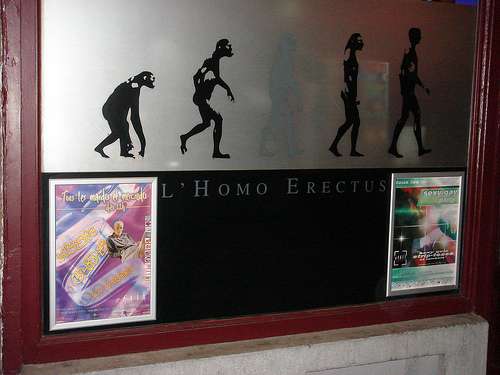 L'Homo Erectus en Bruselas