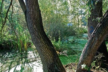 La reserva natural del Moeraske en Bruselas